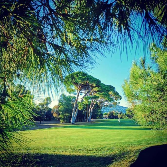 Luxury 3 Piece Garden Apartment In Cannes Marina Mandelieu Eksteriør billede